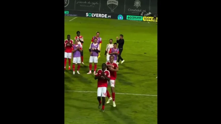 Gesto à capitão? João Palhinha dá que falar após o Moreirense-Benfica